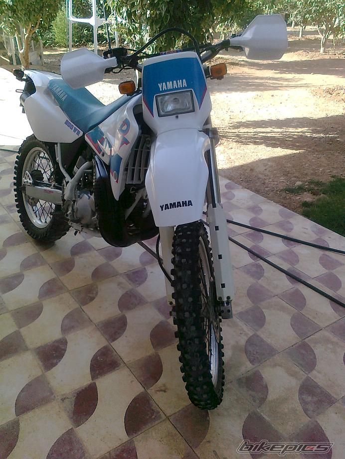 Photo 2339567
