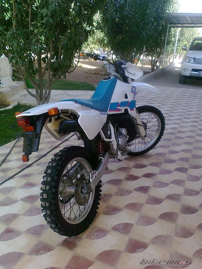Photo 2339568