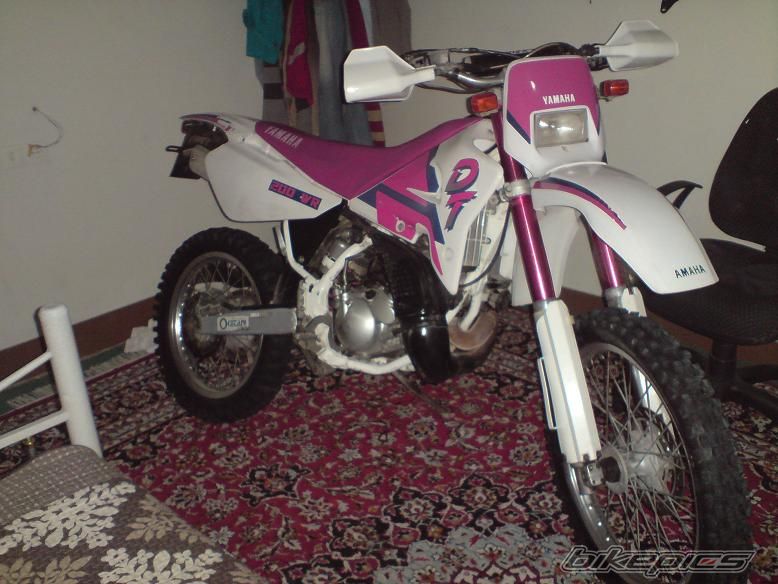 Photo 2339569