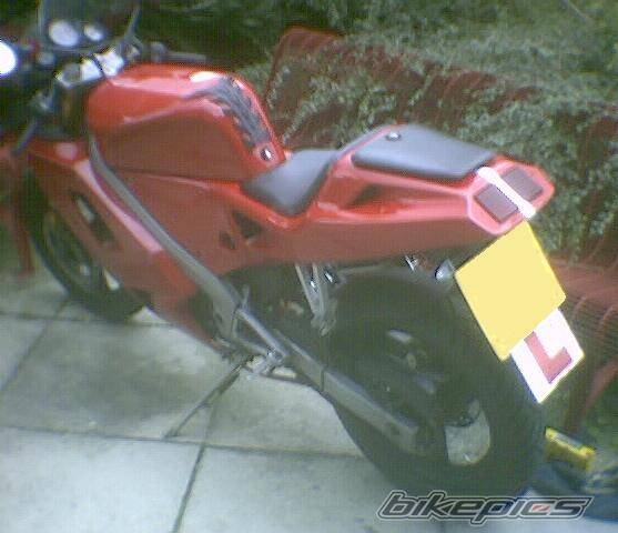 Photo 233958