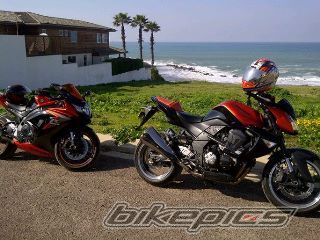 Photo 2339636