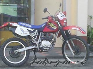 Photo 2339778