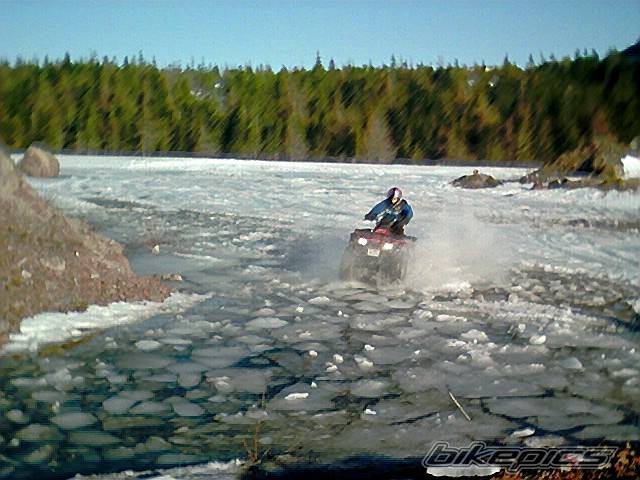 Photo 233982