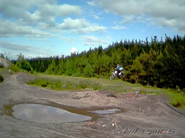 Photo 233987