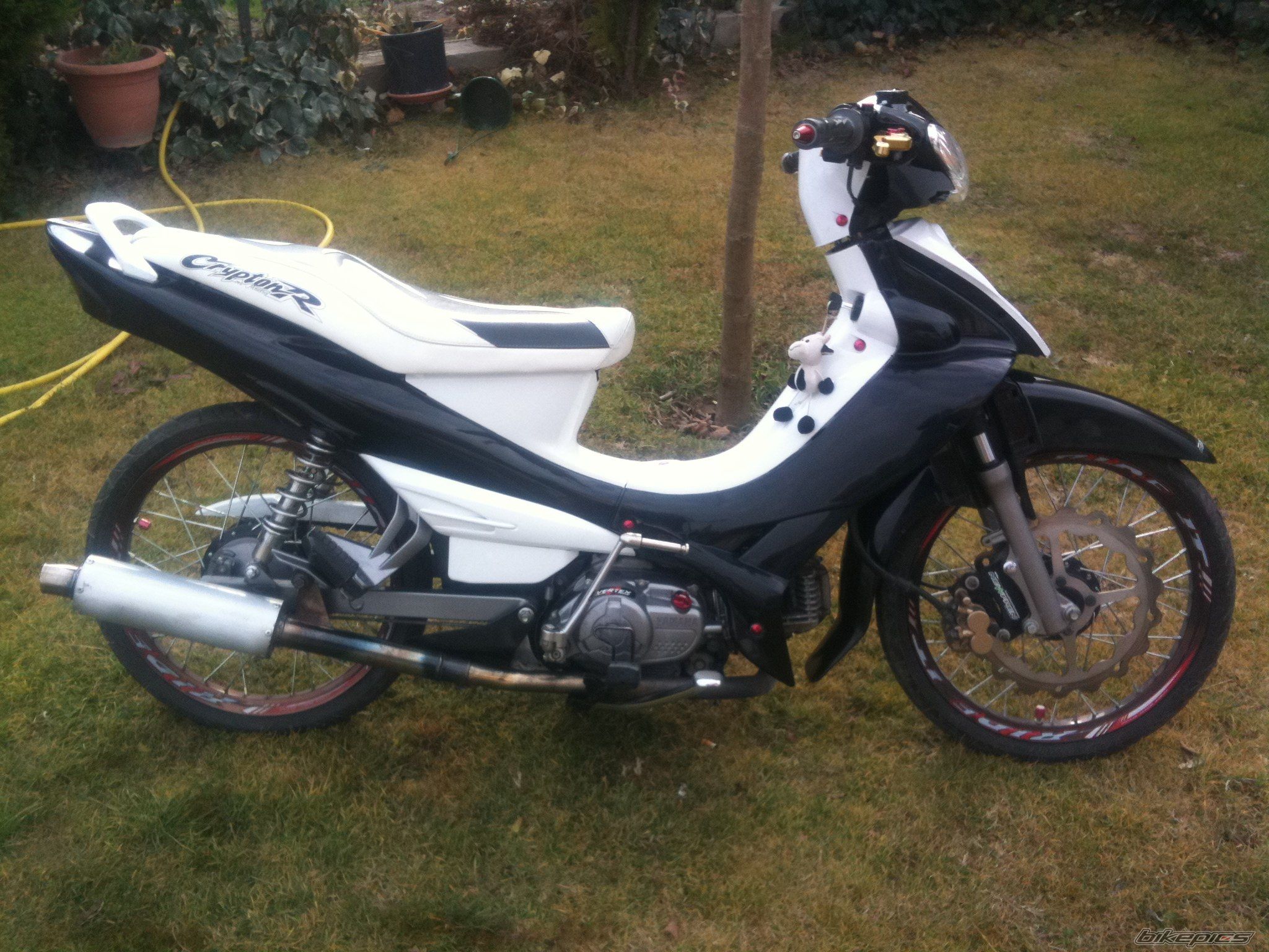 Photo 2339889