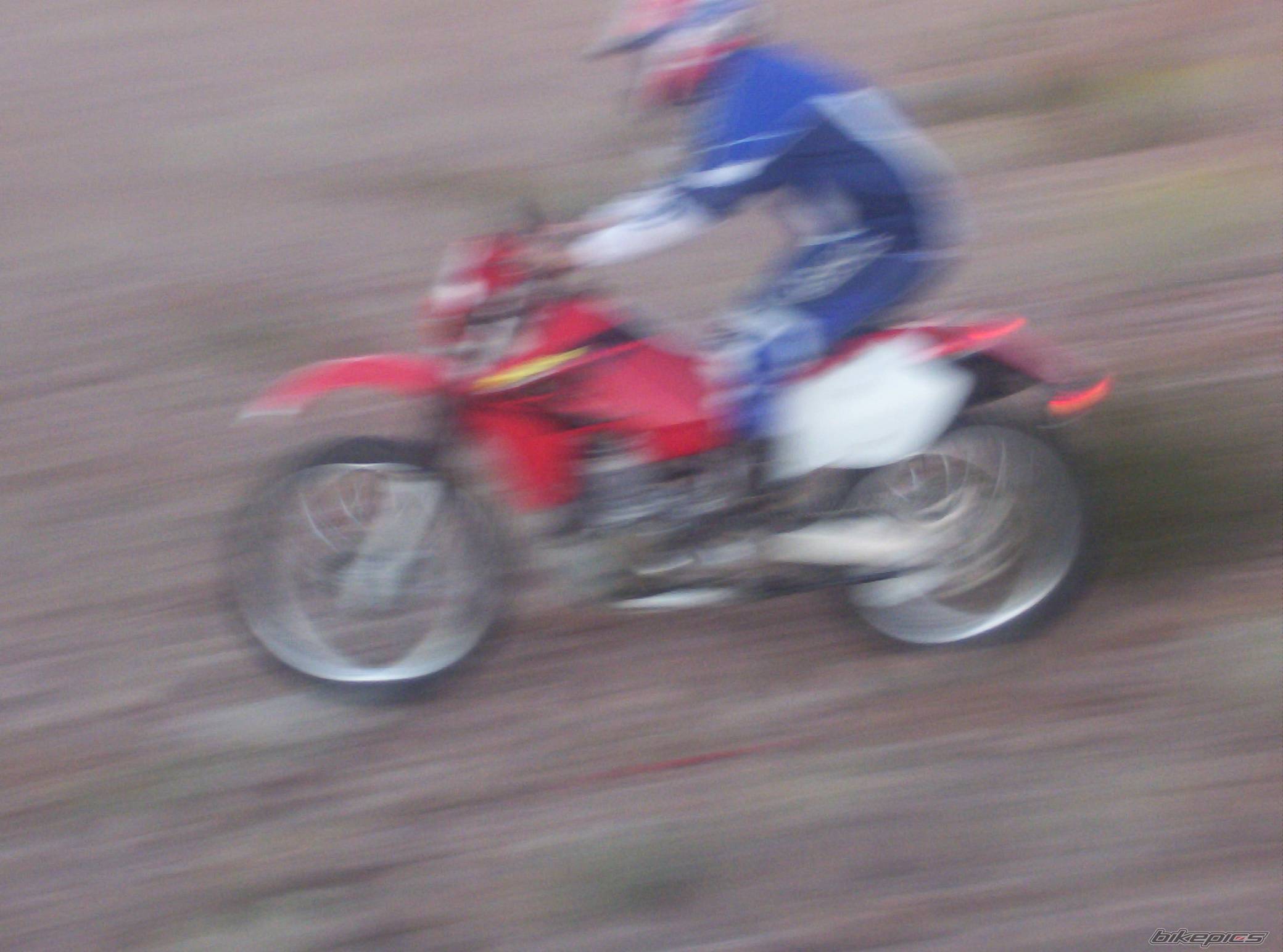 Photo 233997
