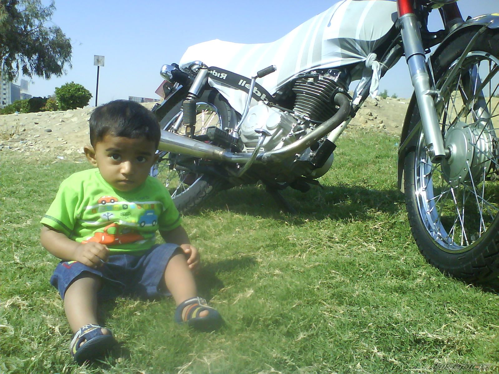Photo 2339976