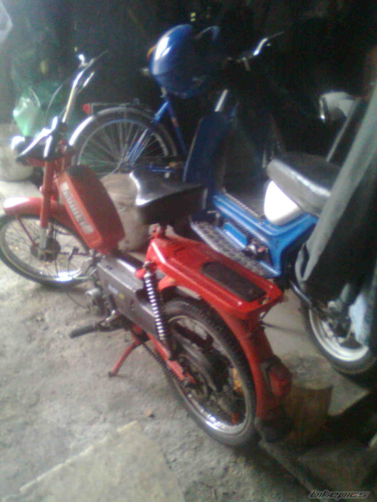 Photo 2340046