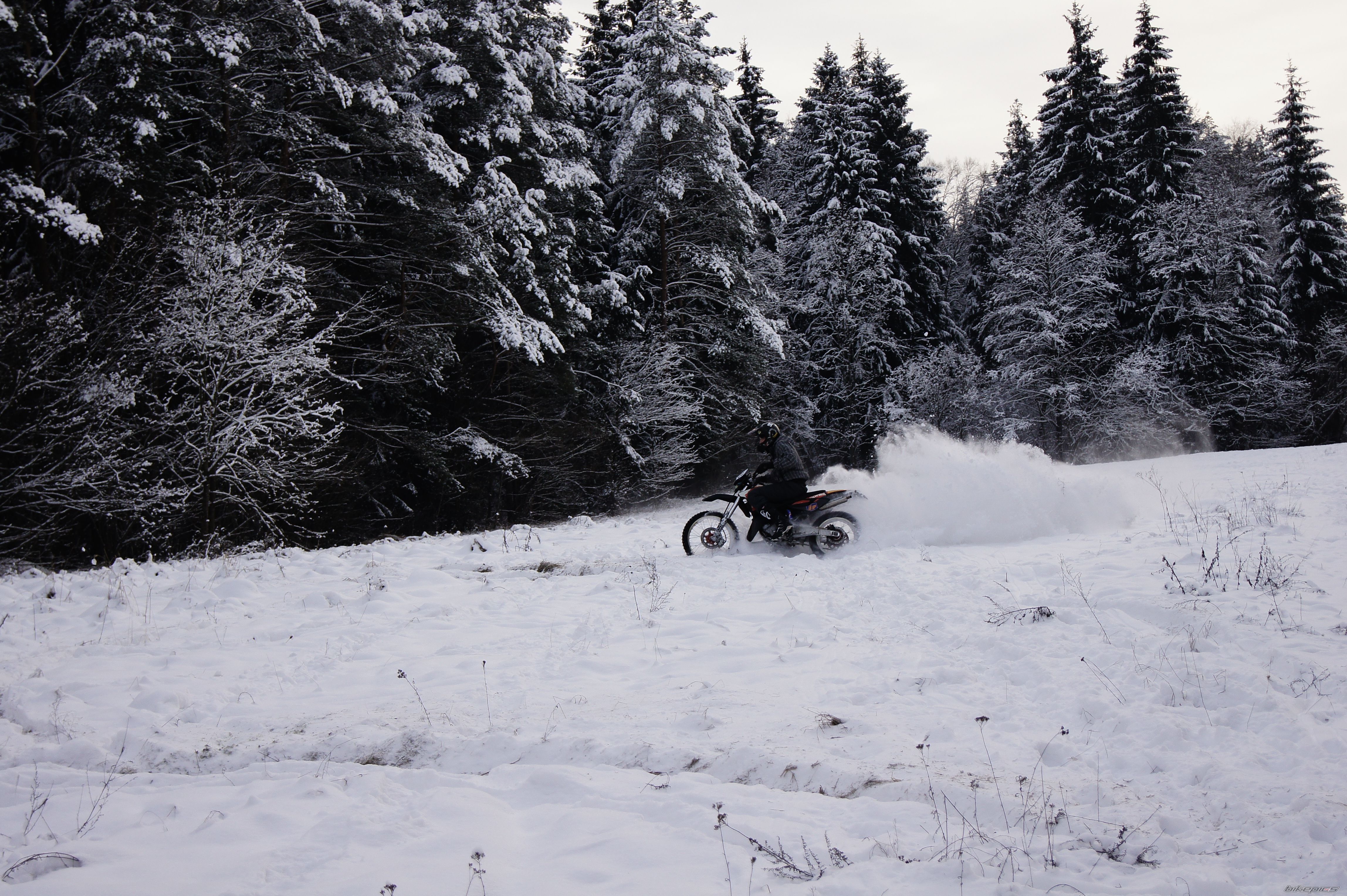 Photo 2340122