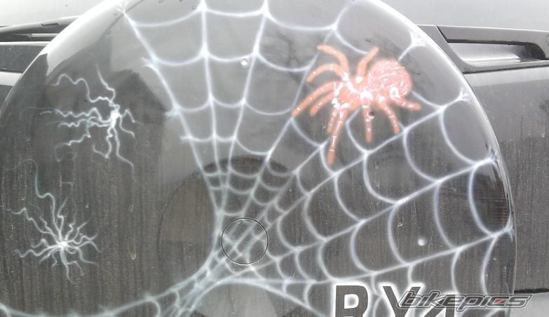 Photo 2340131