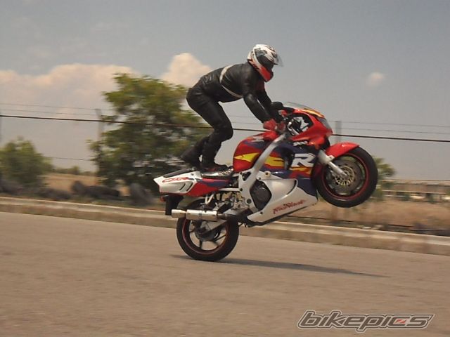 Photo 2340187
