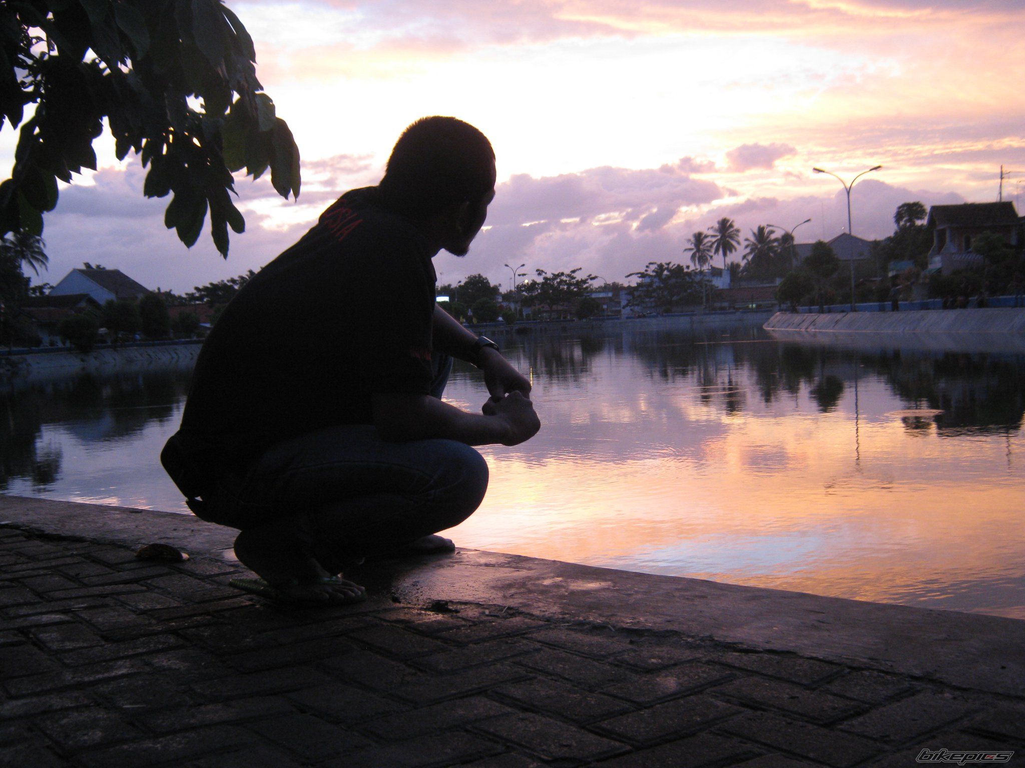 Photo 2340195