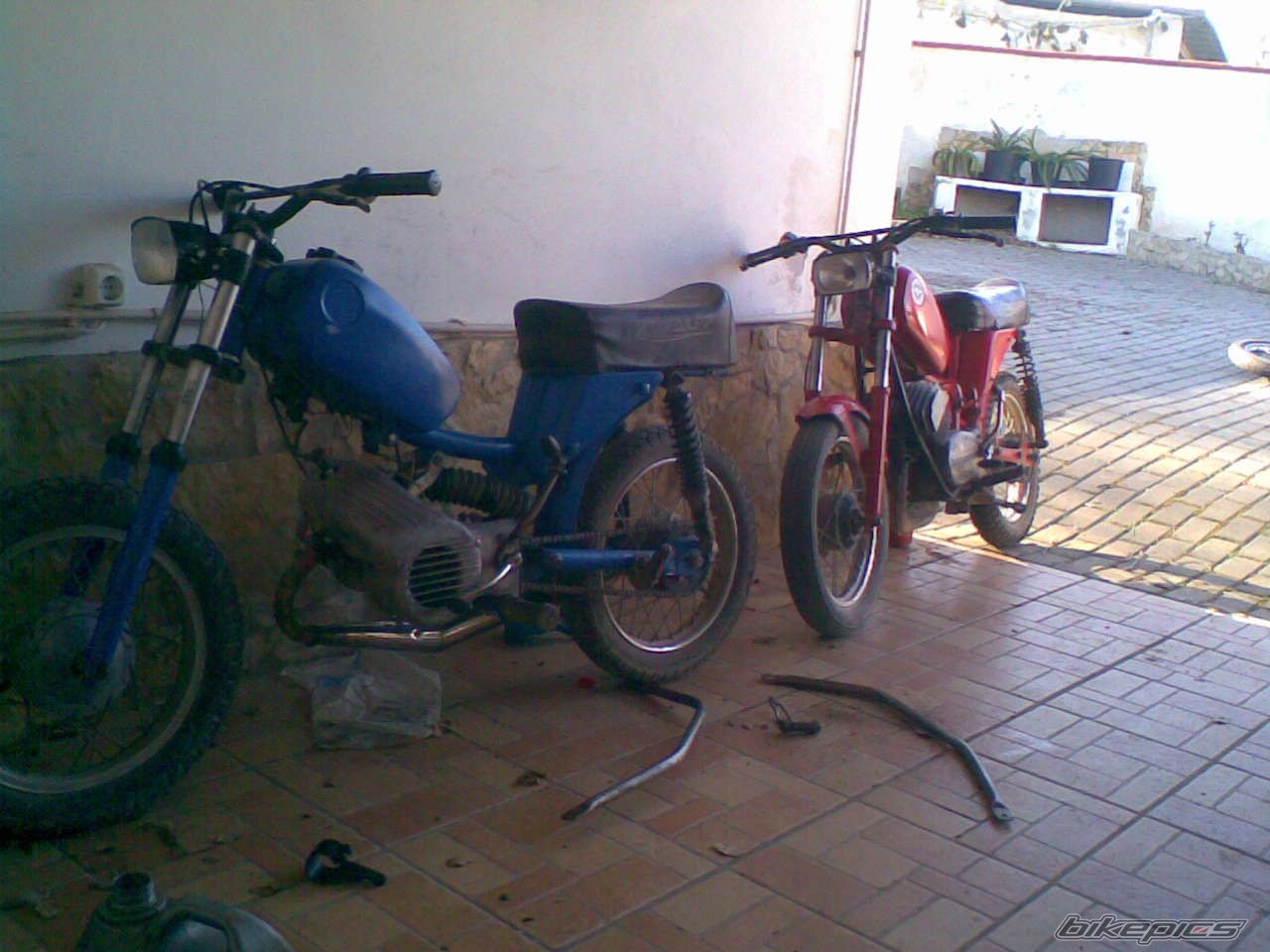 Photo 2340232
