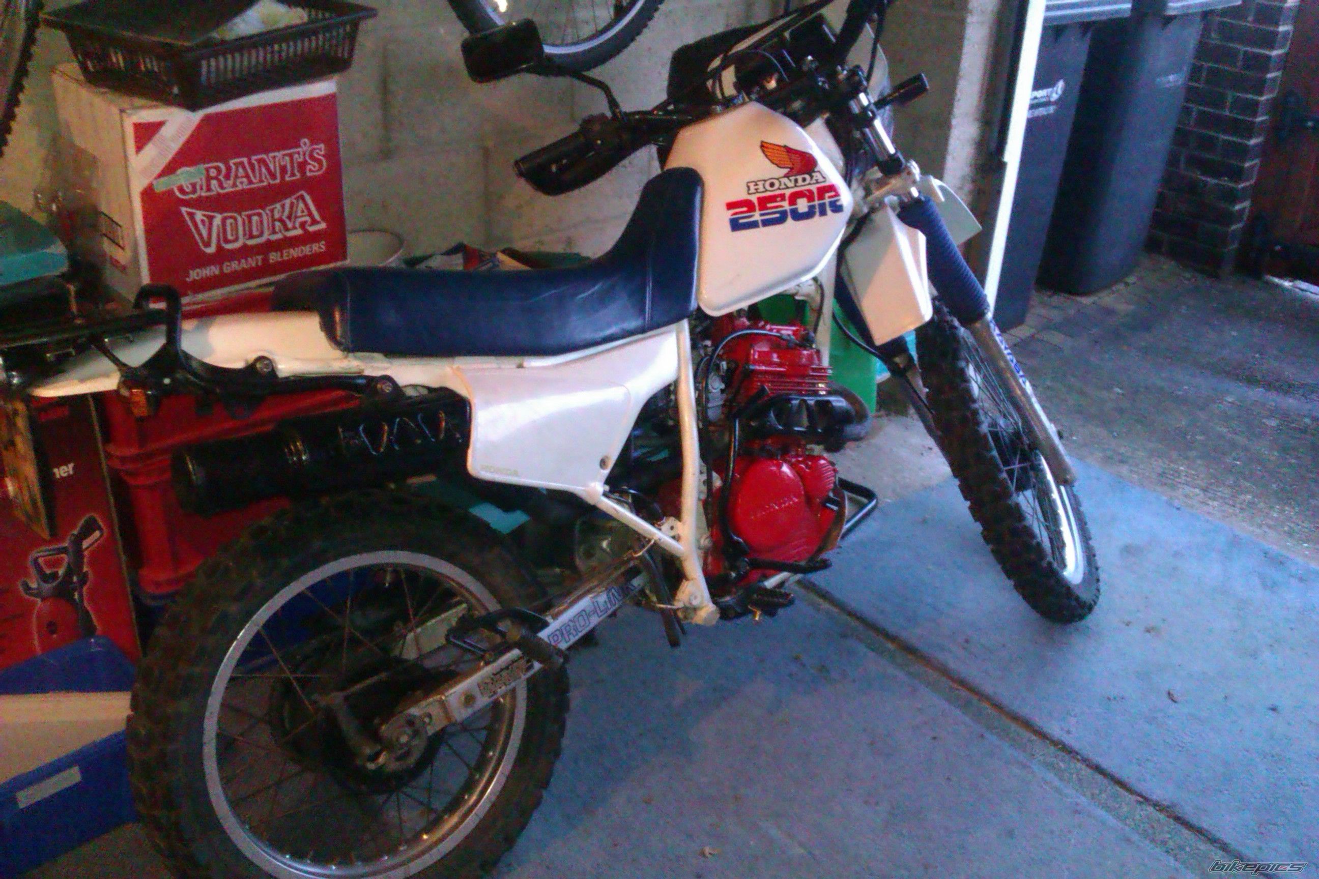 Photo 2340374