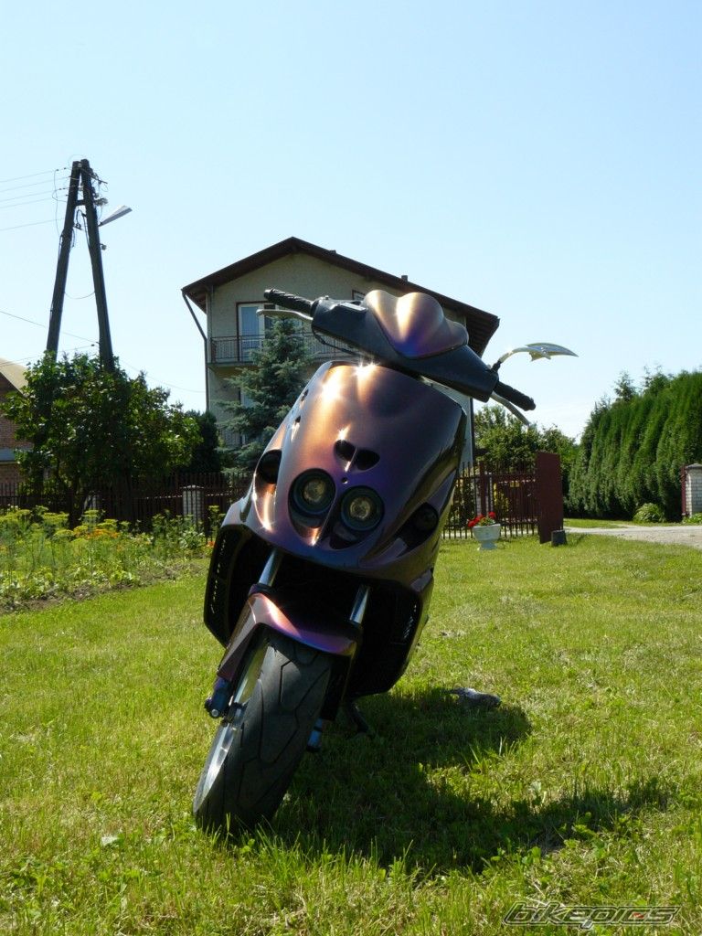 Photo 2340383