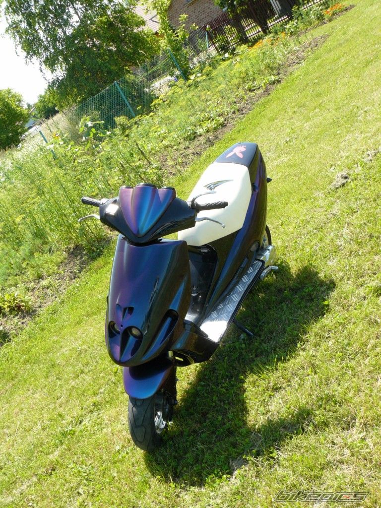Photo 2340384