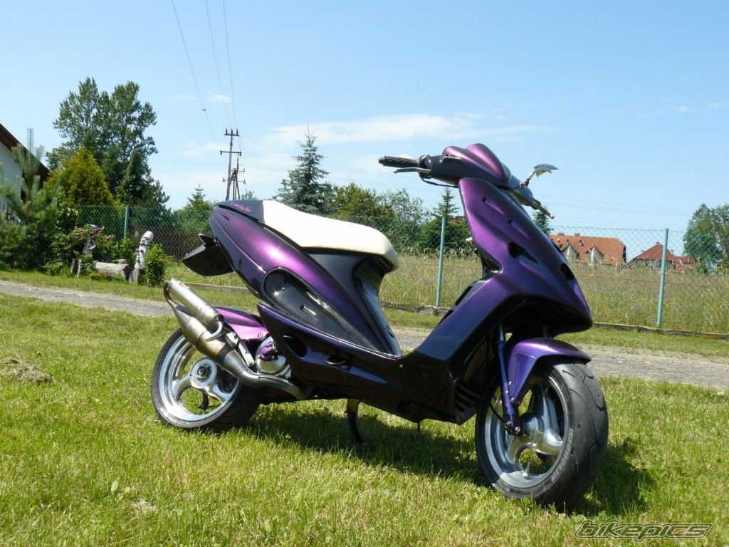 Photo 2340385