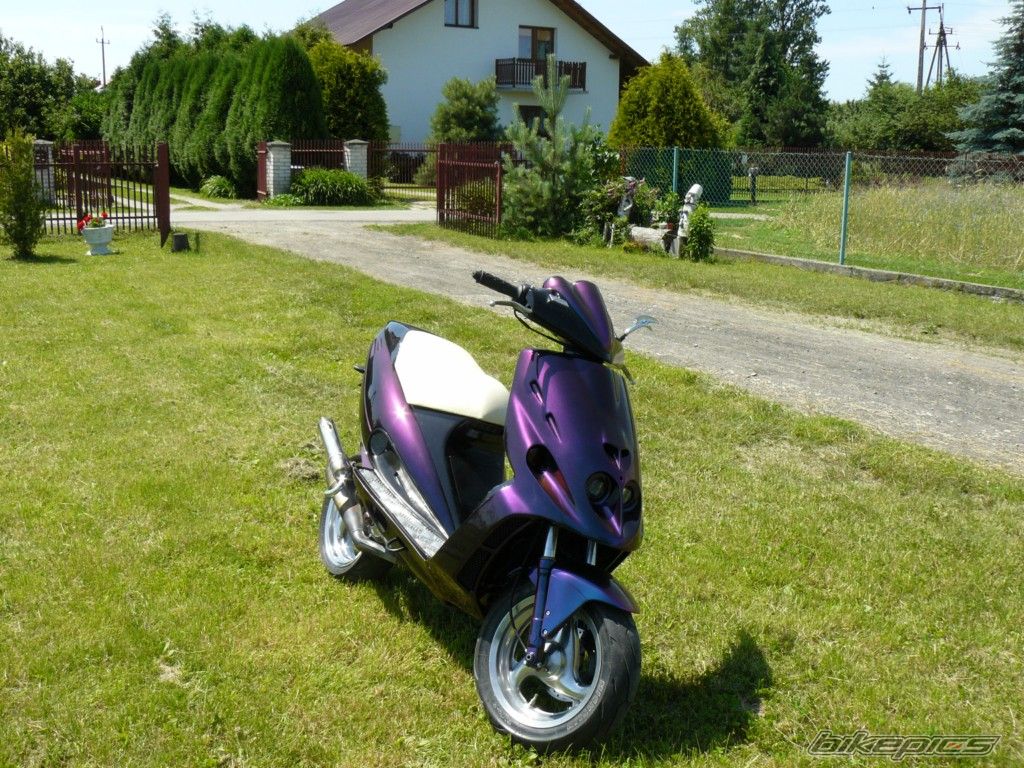 Photo 2340386