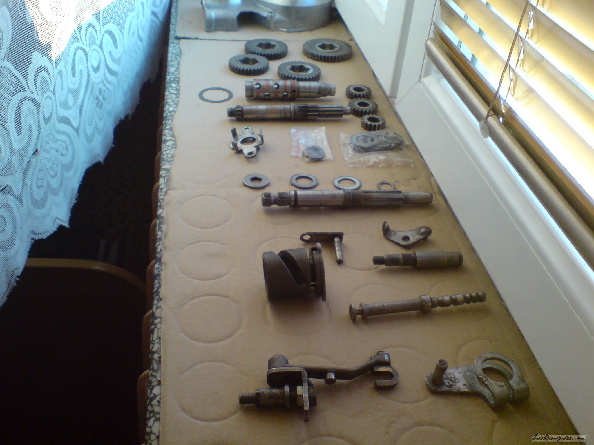 Photo 2340532
