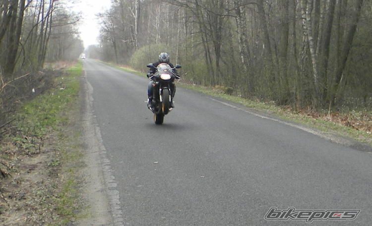Photo 2340597