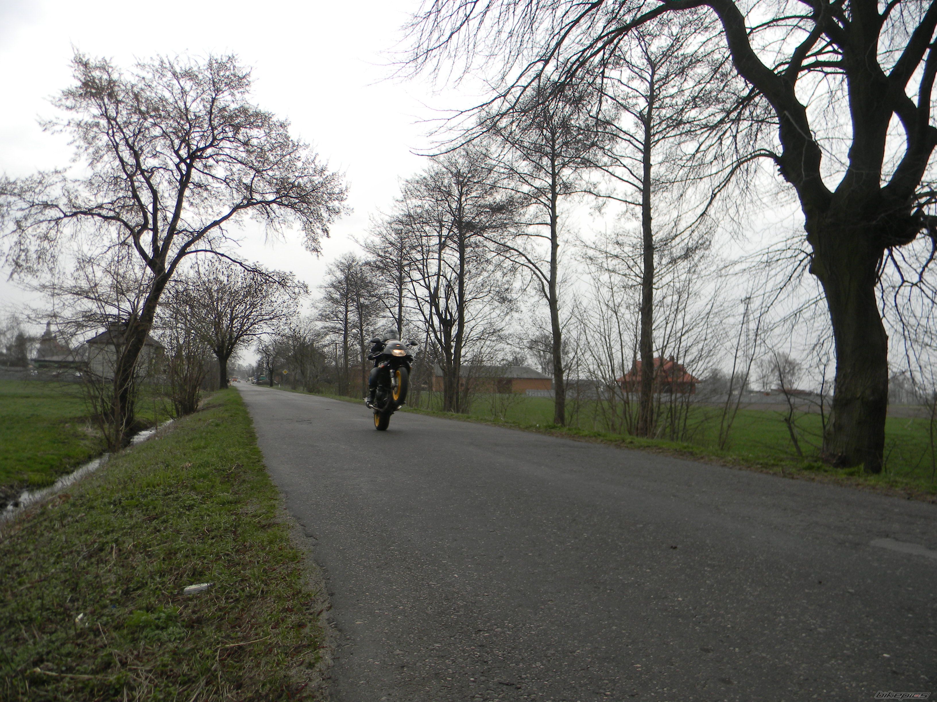 Photo 2340599