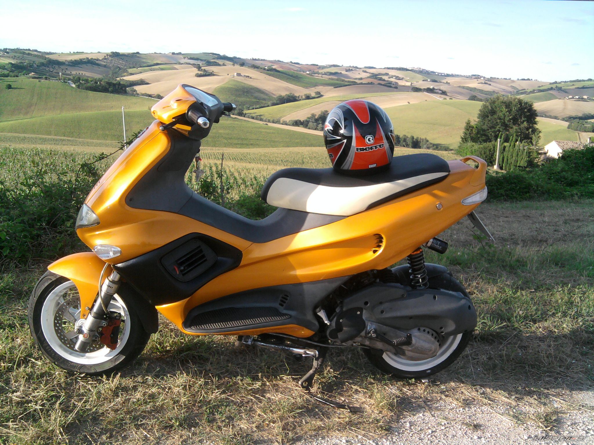 Photo 2340653