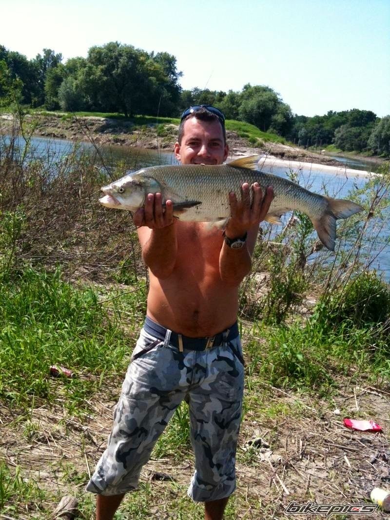 Photo 2340657
