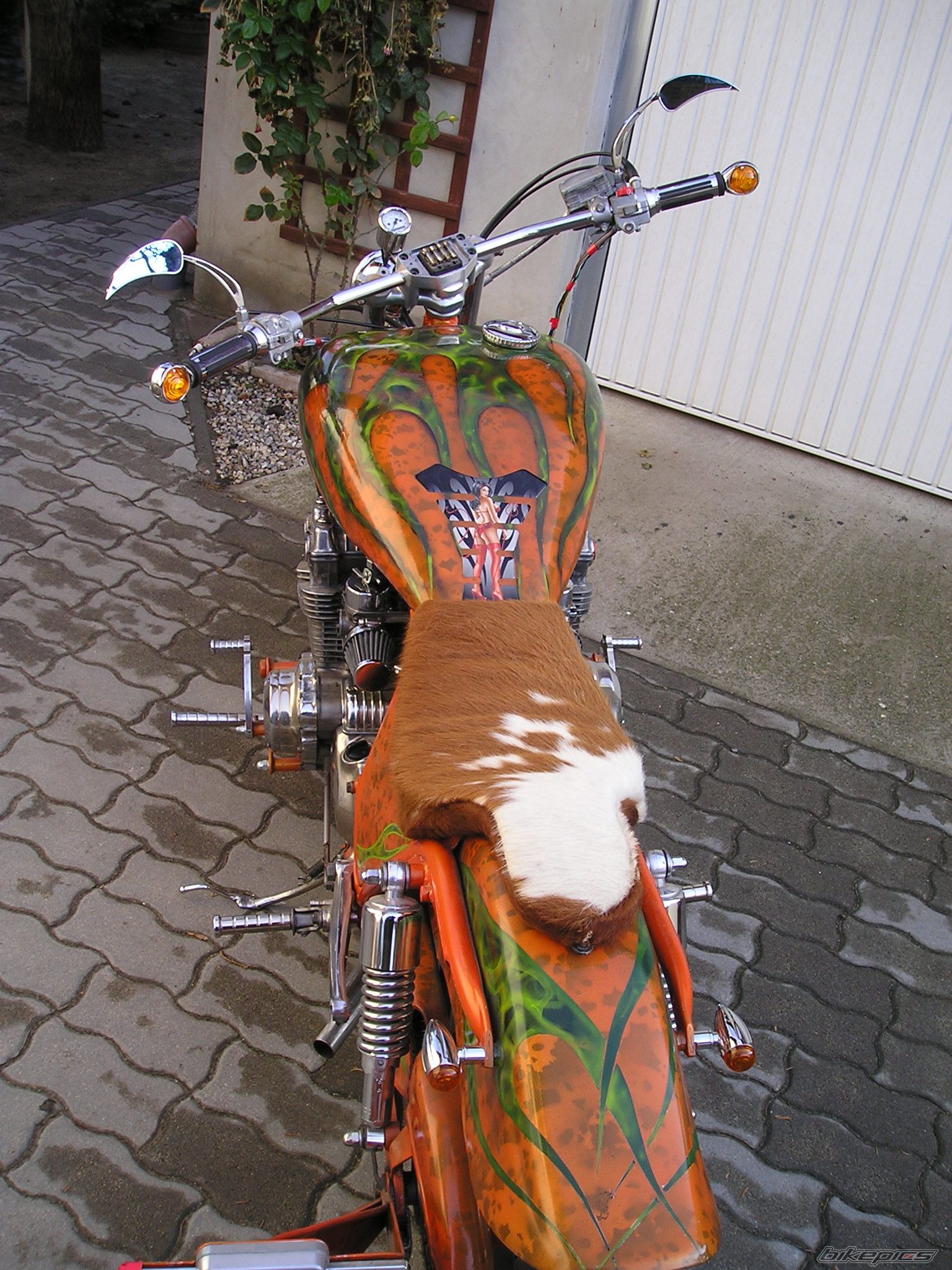 Photo 2341090