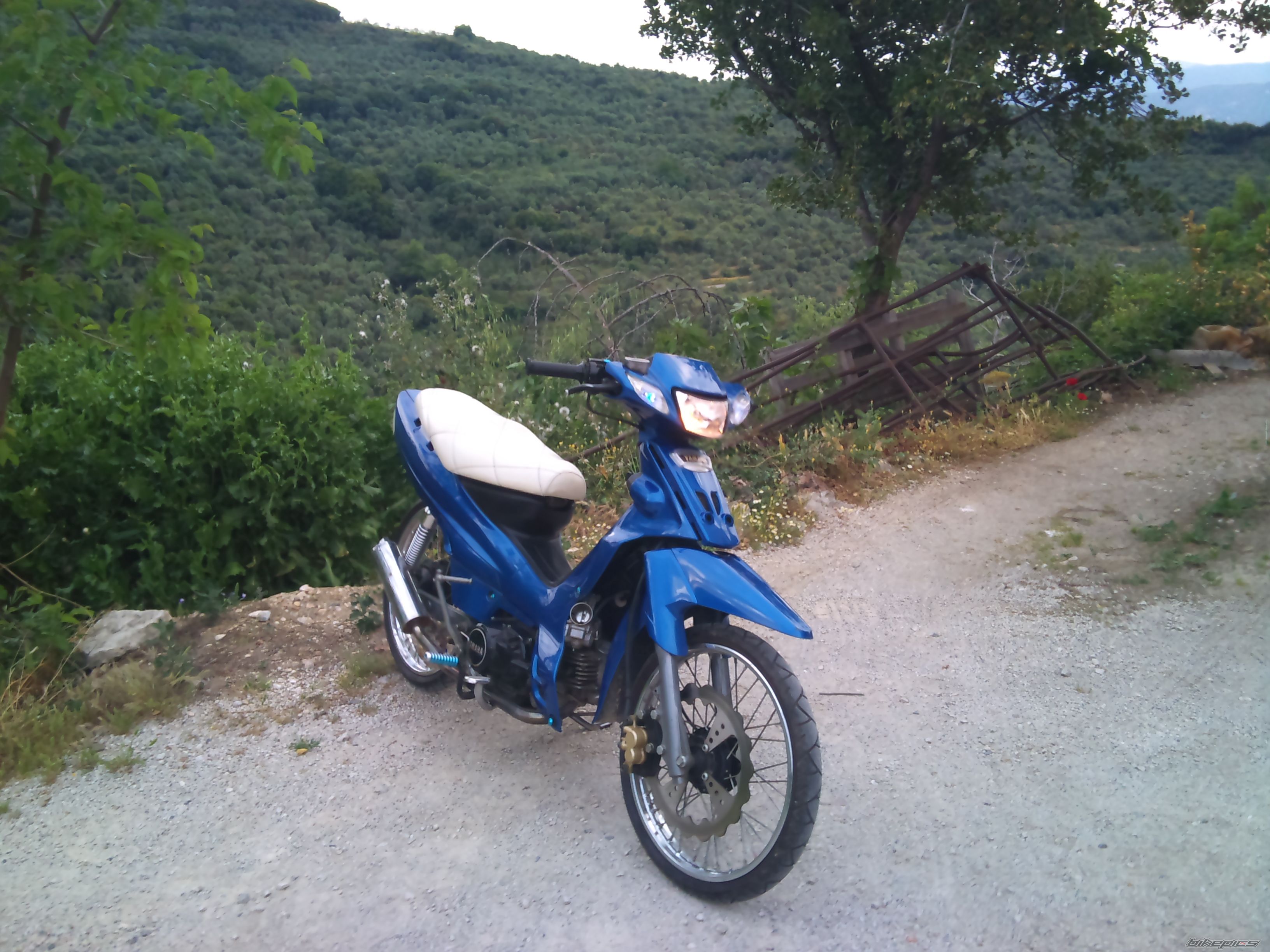 Photo 2341092