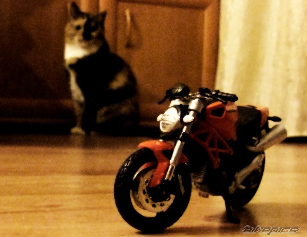 Photo 2341146