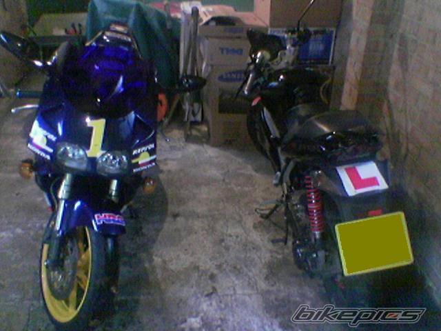 Photo 234129