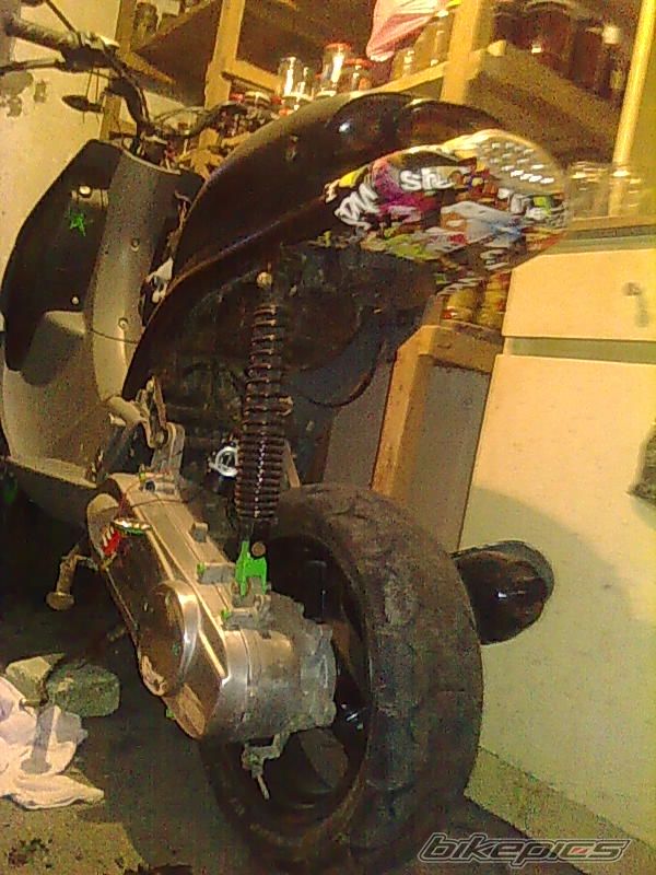 Photo 2341313