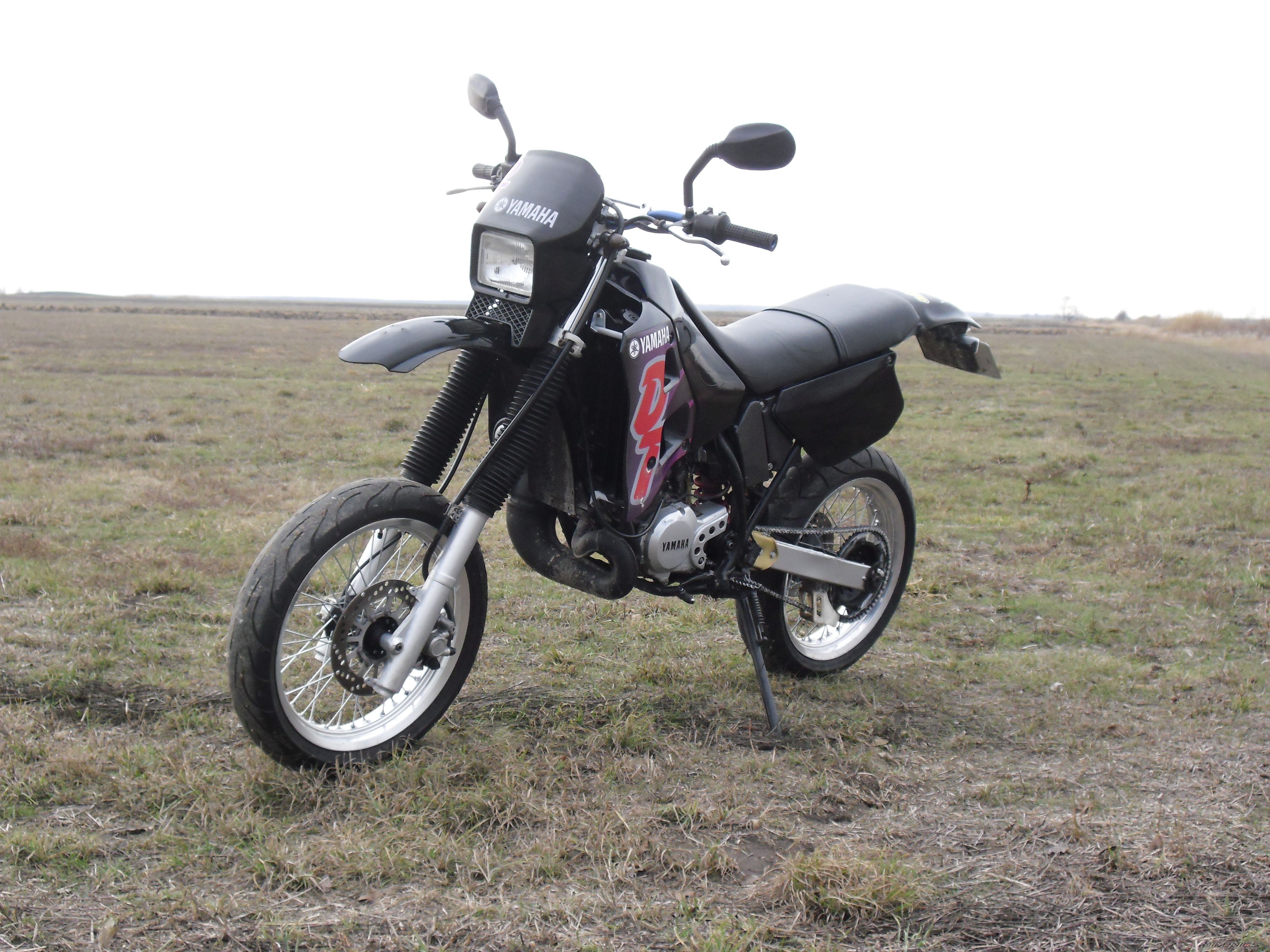 Photo 2341393