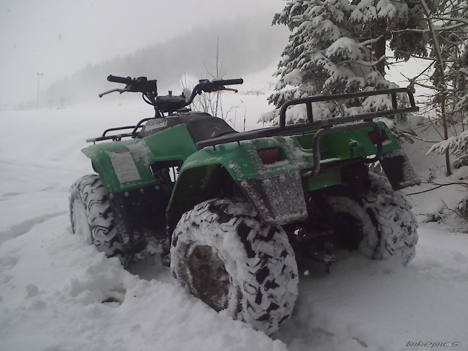 Photo 2341394