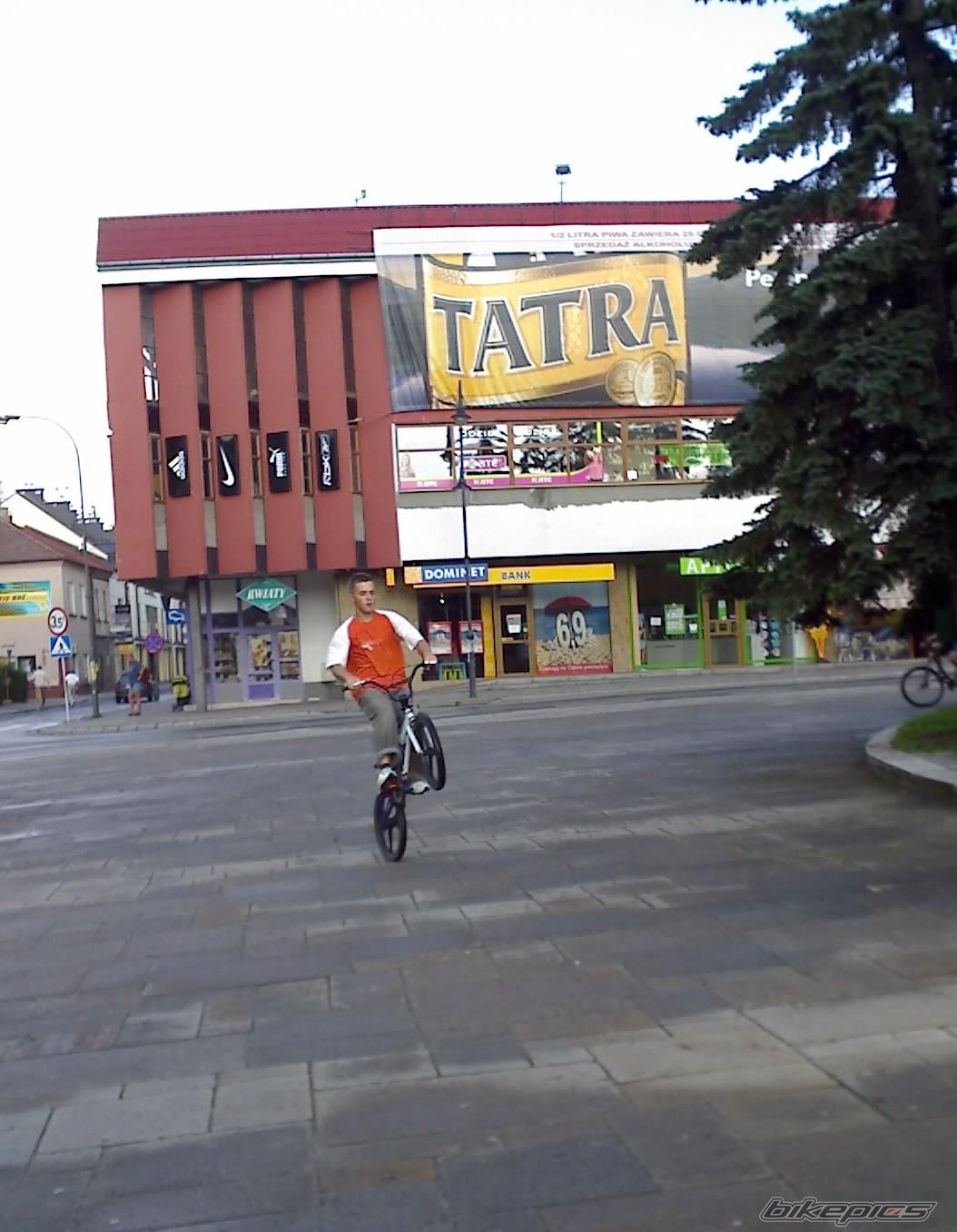 Photo 2341408