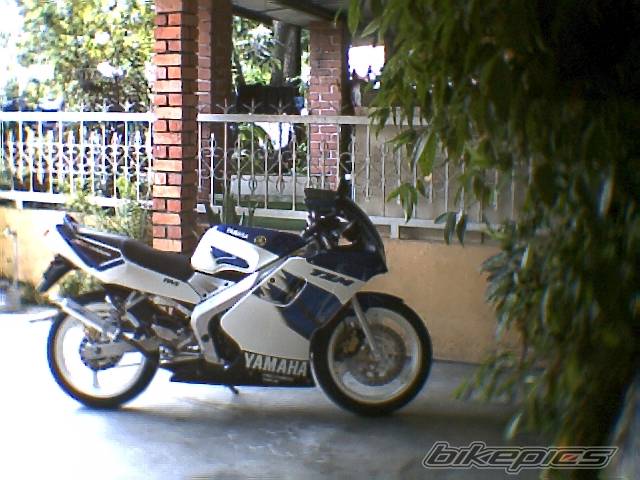 Photo 234141