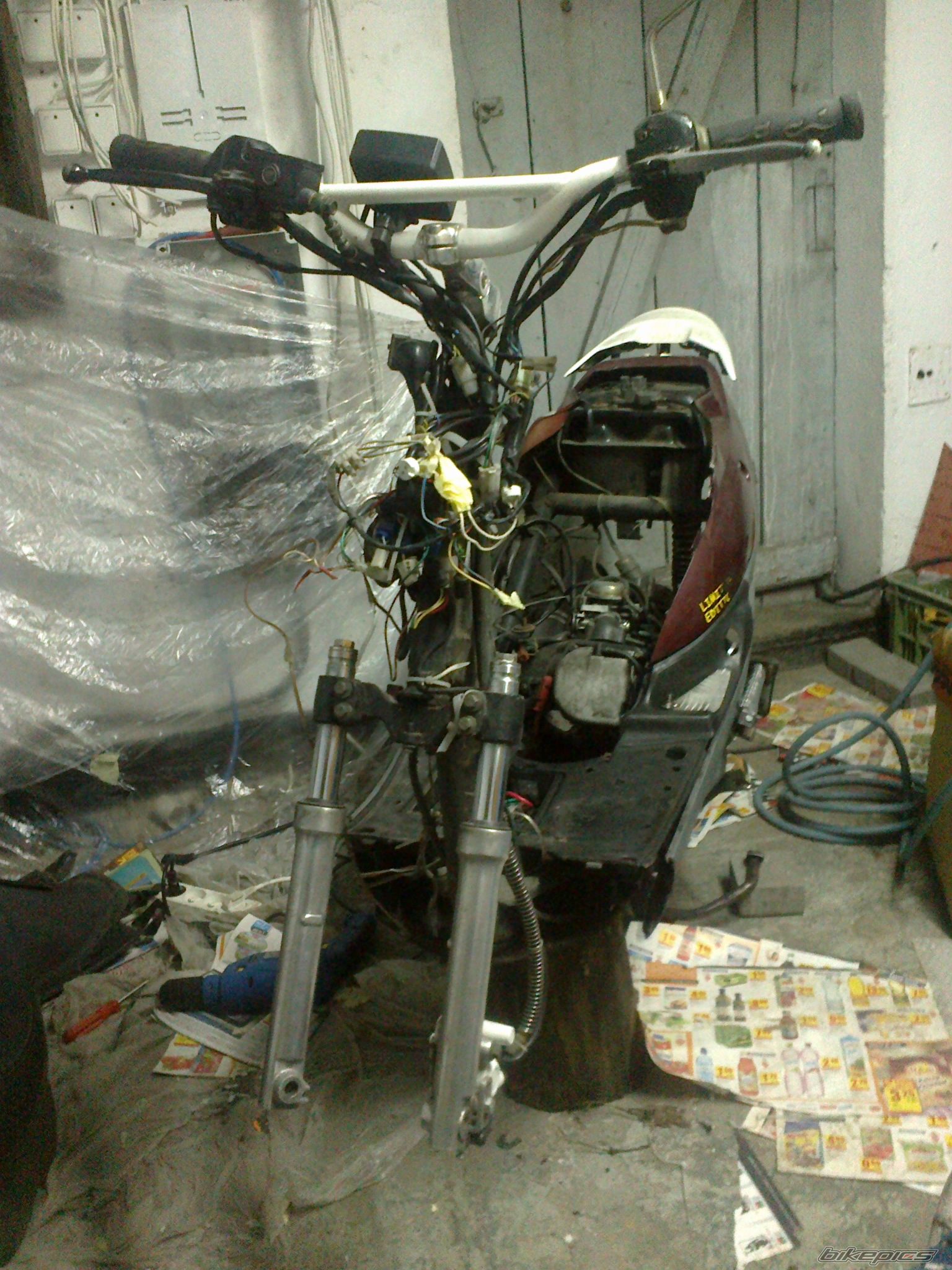 Photo 2341442