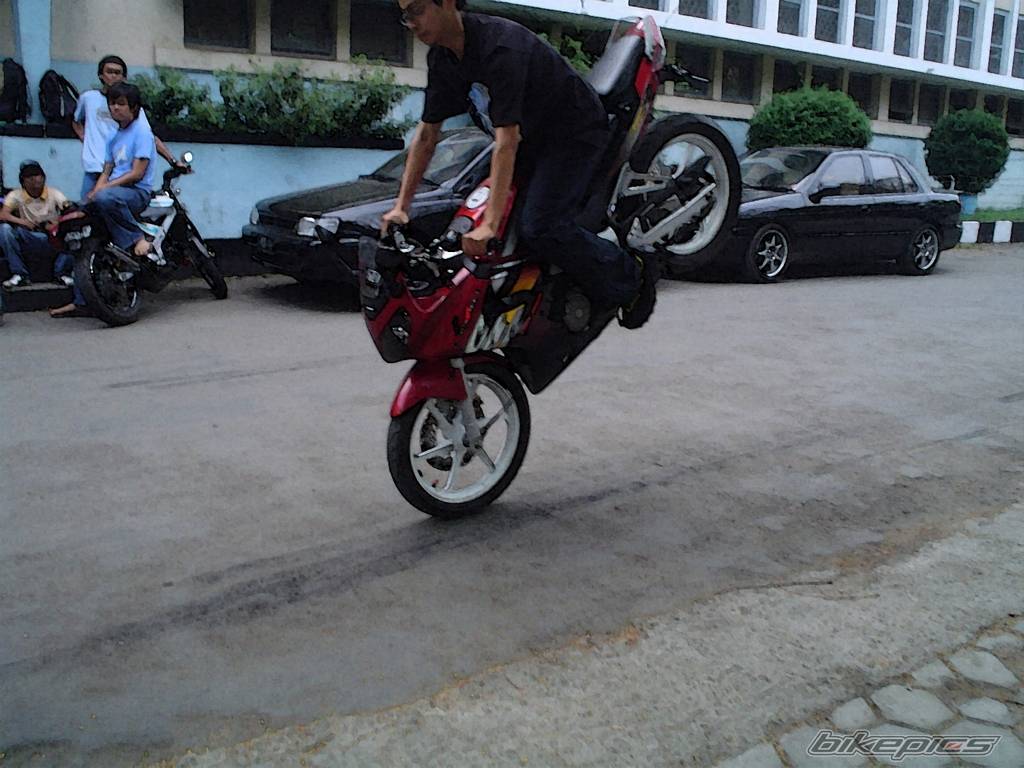 Photo 234146