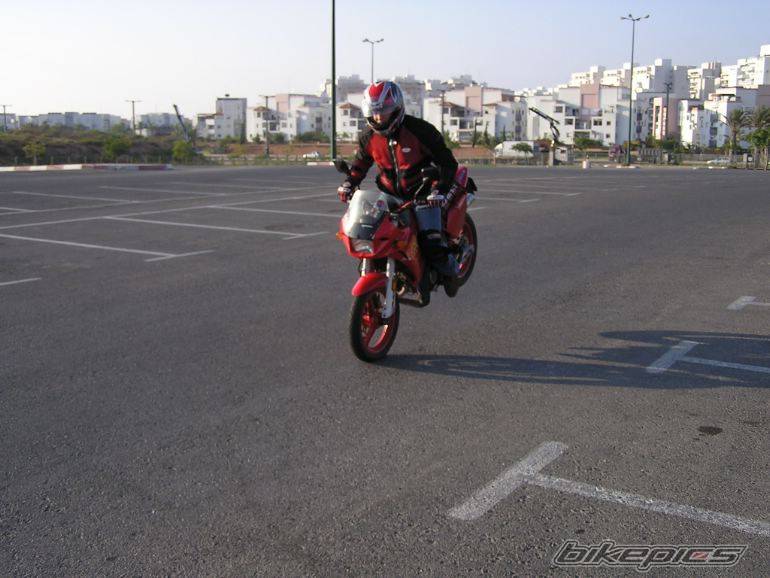 Photo 234153