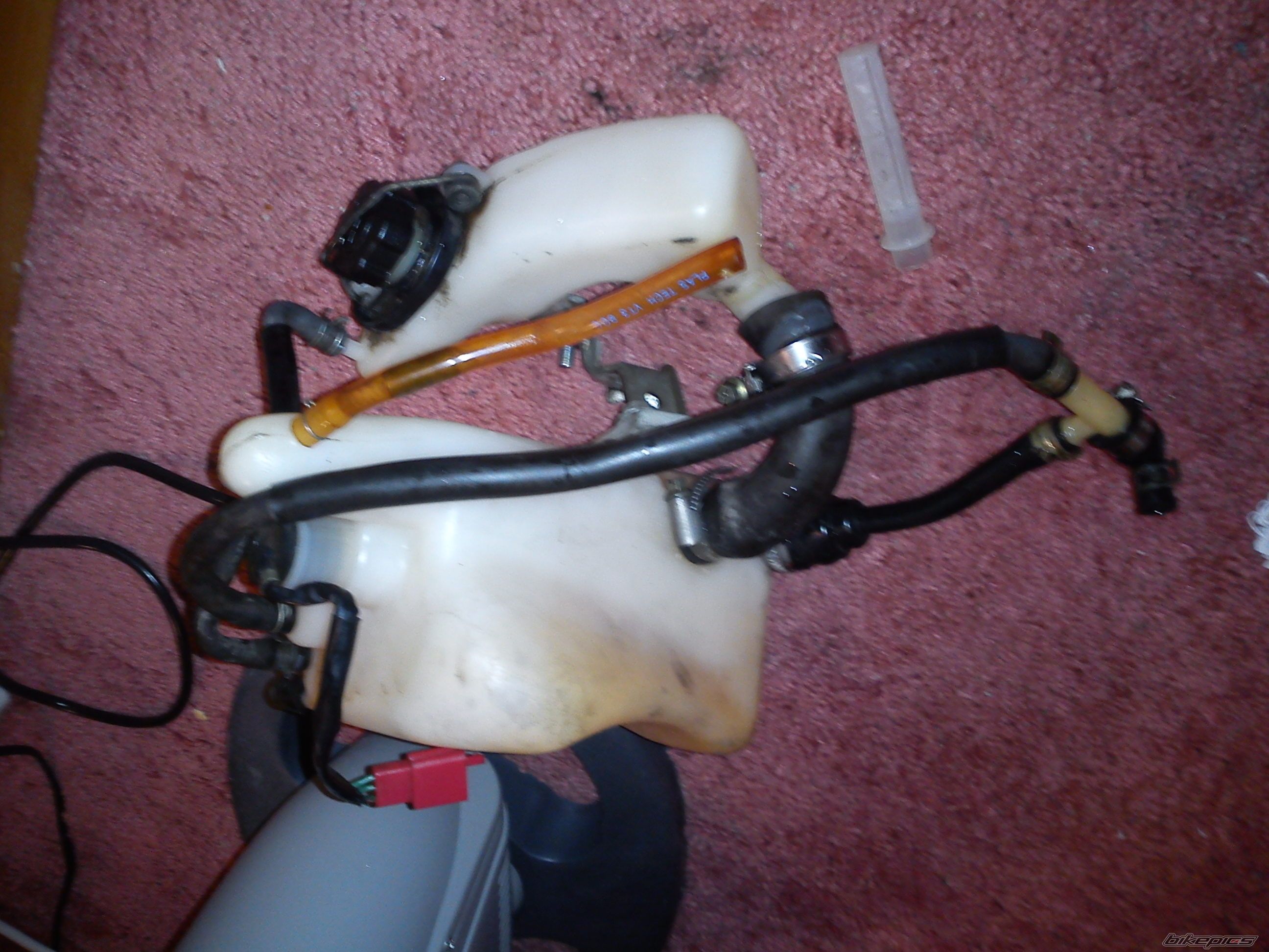 Photo 2341615