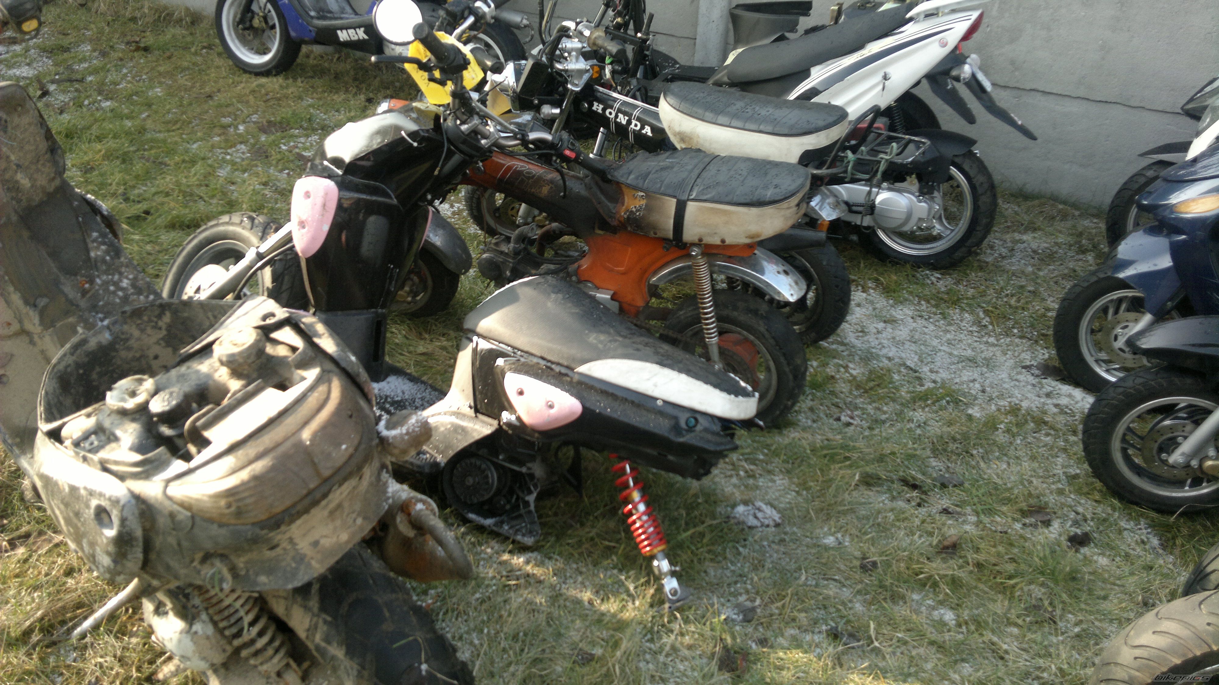 Photo 2341618