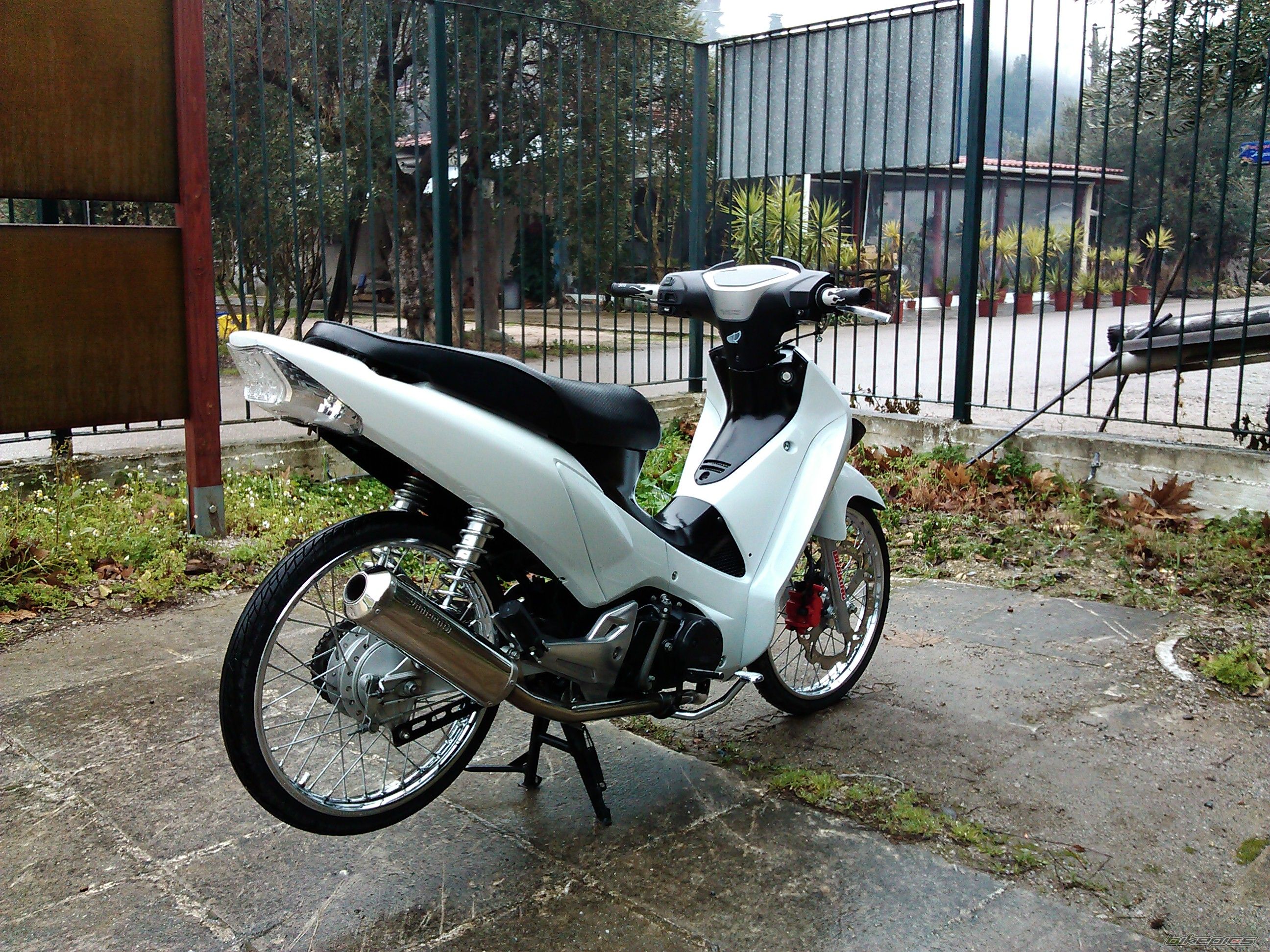 Photo 2341874
