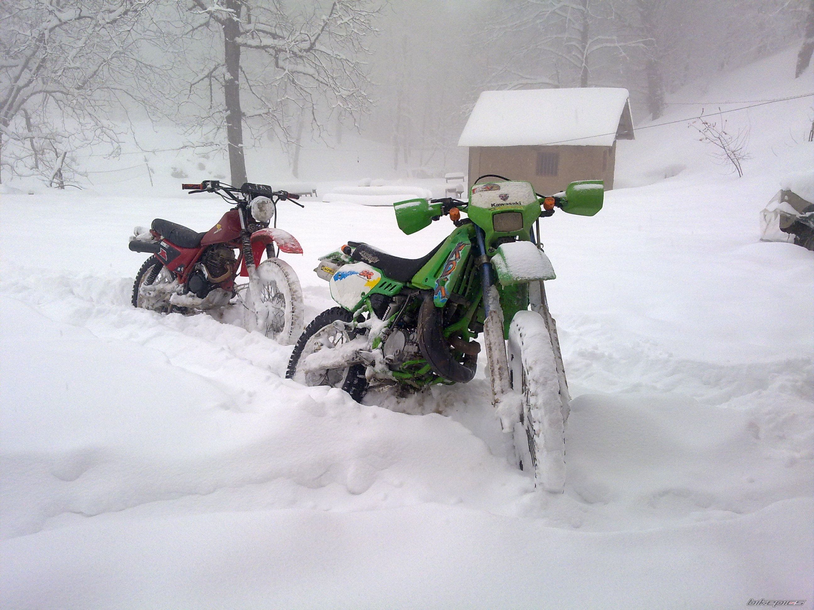 Photo 2341903