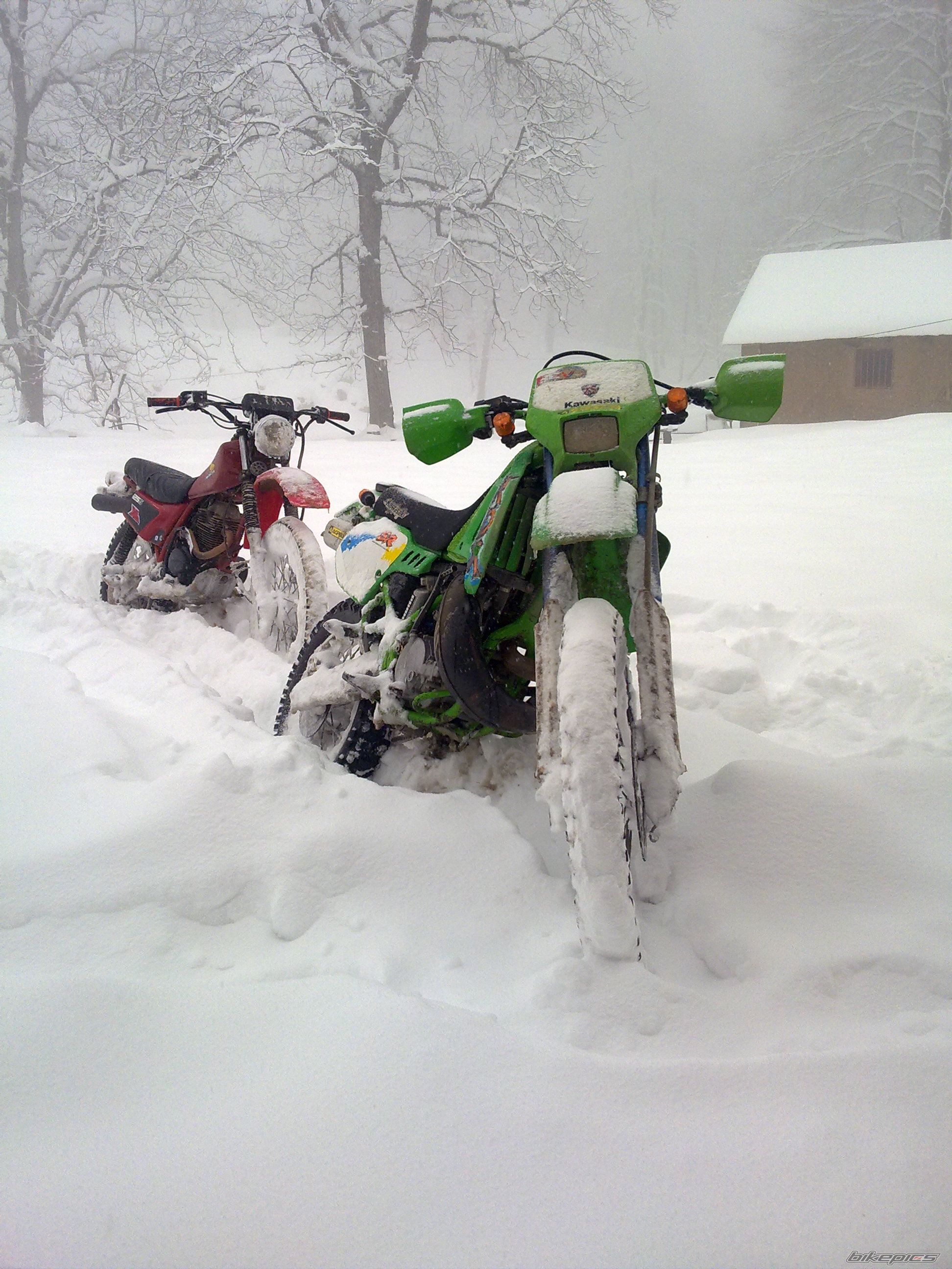 Photo 2341904