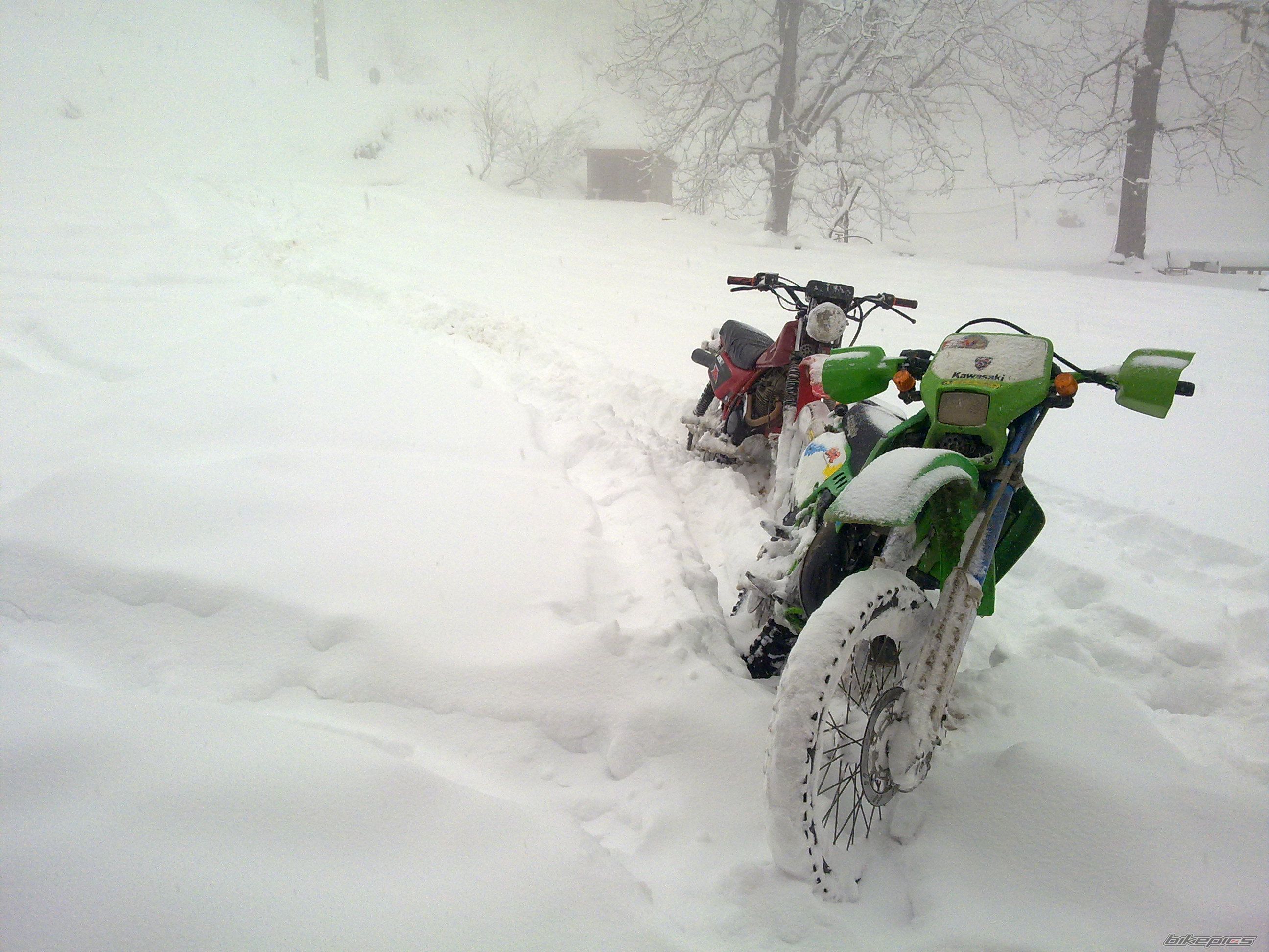 Photo 2341906