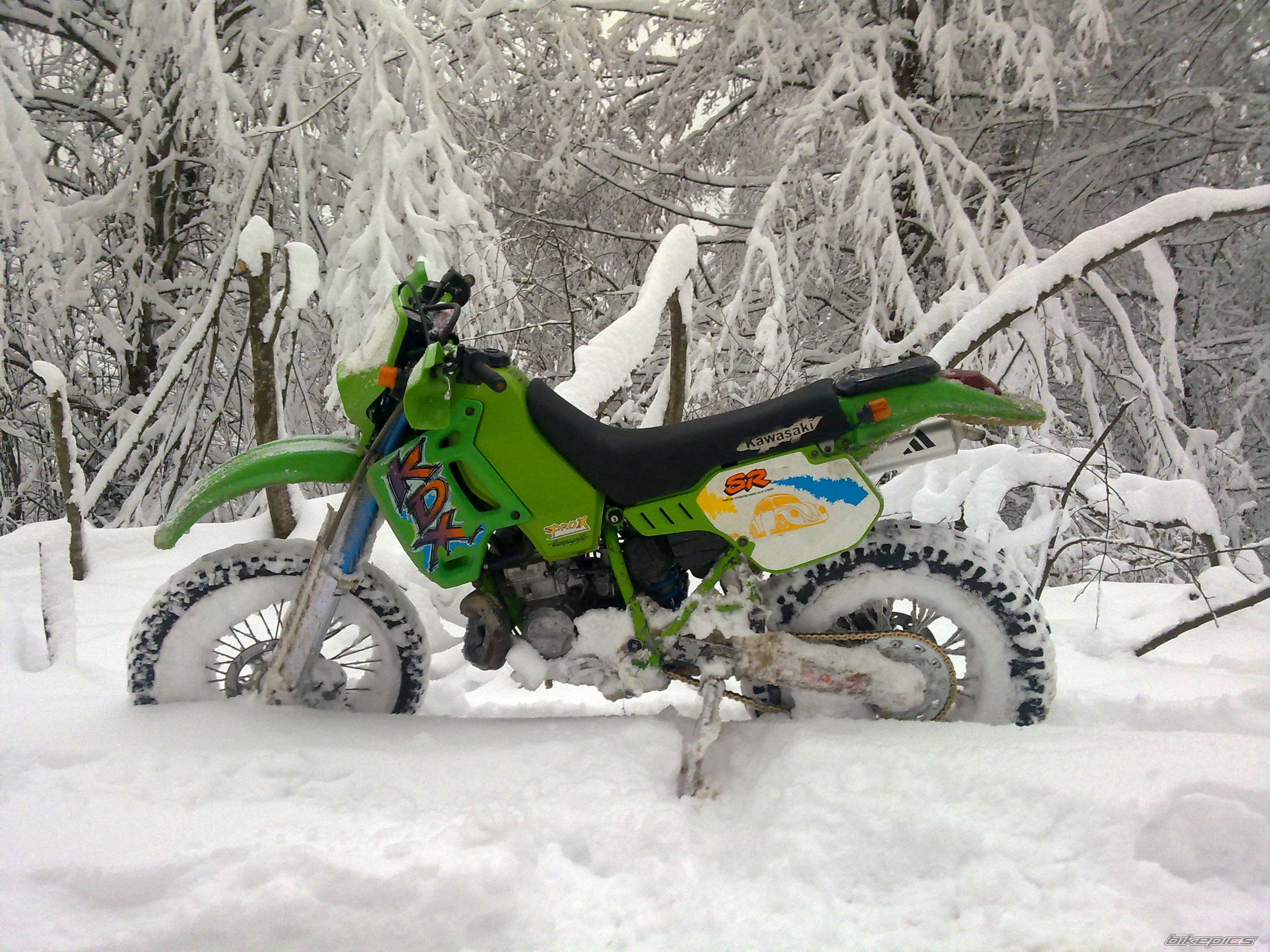 Photo 2341911