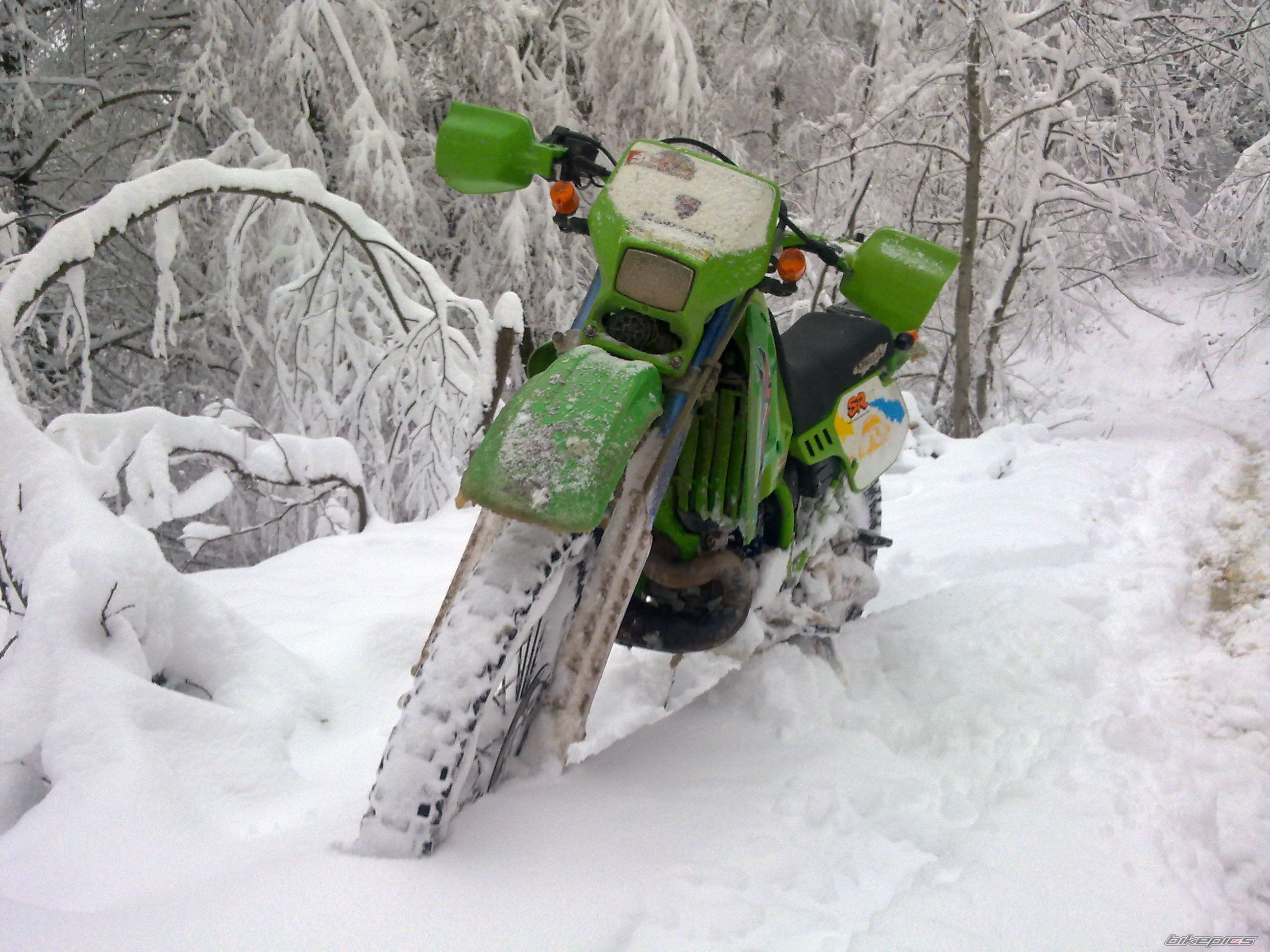 Photo 2341912