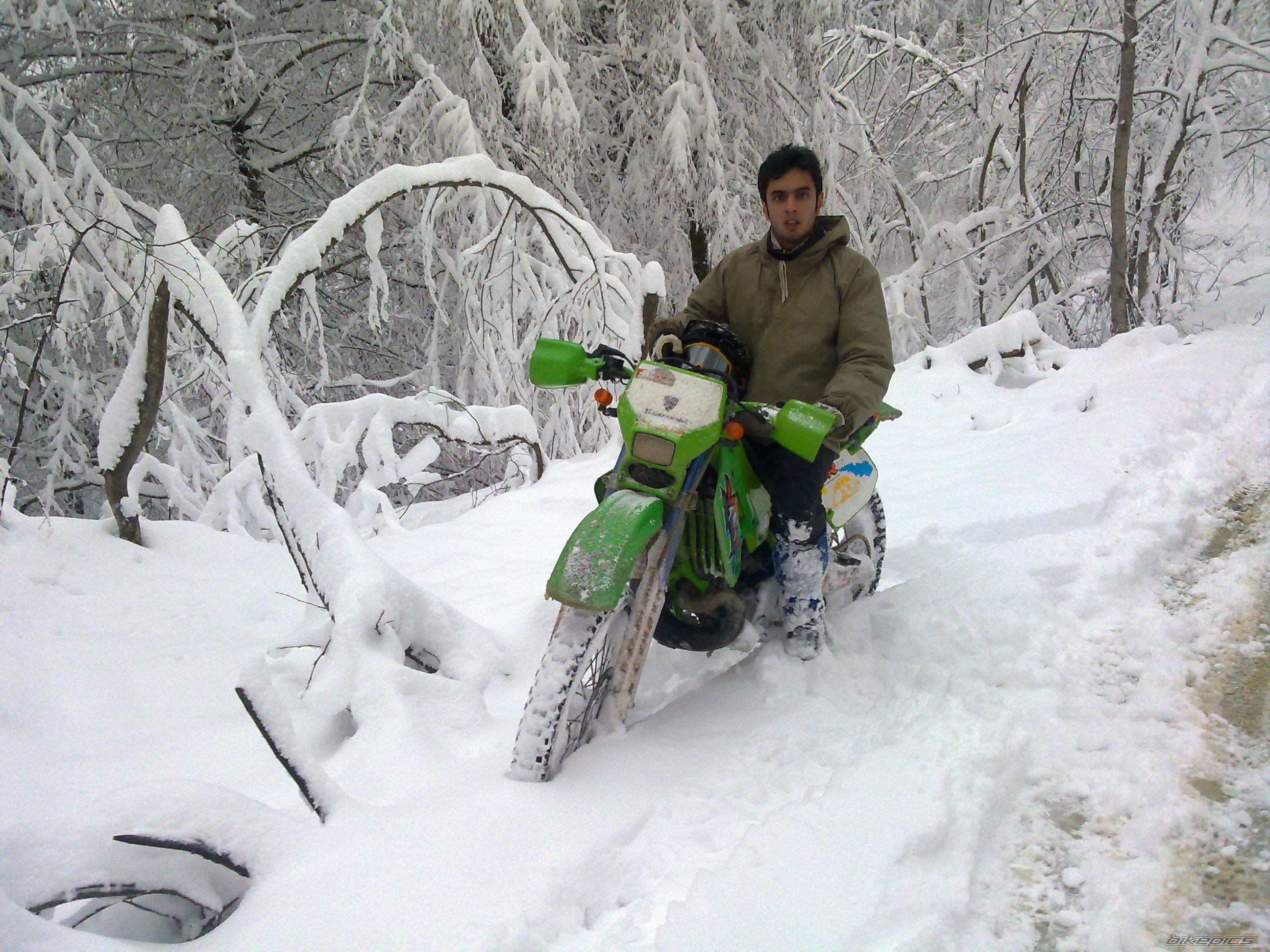 Photo 2341916