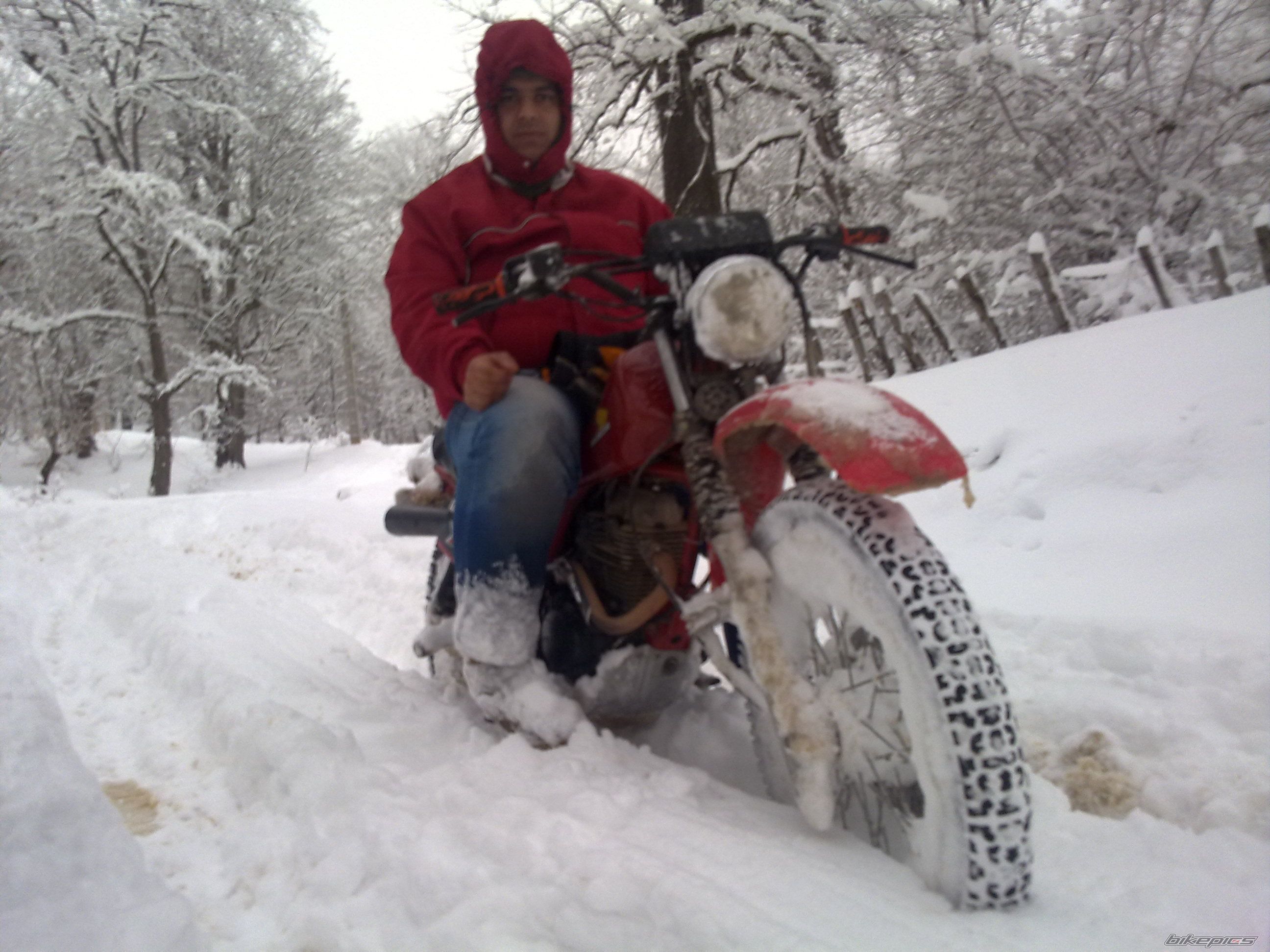 Photo 2341922