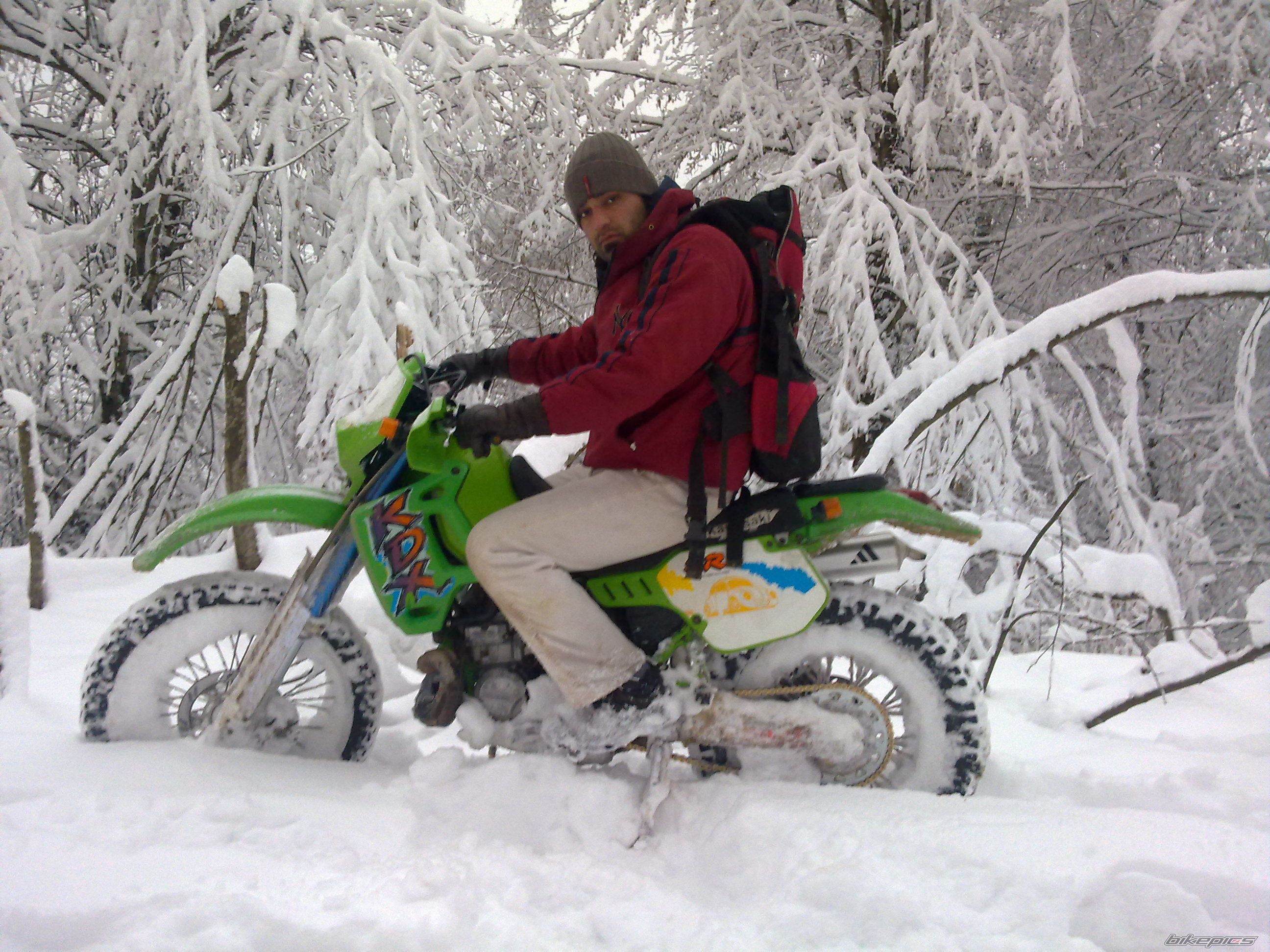 Photo 2341923